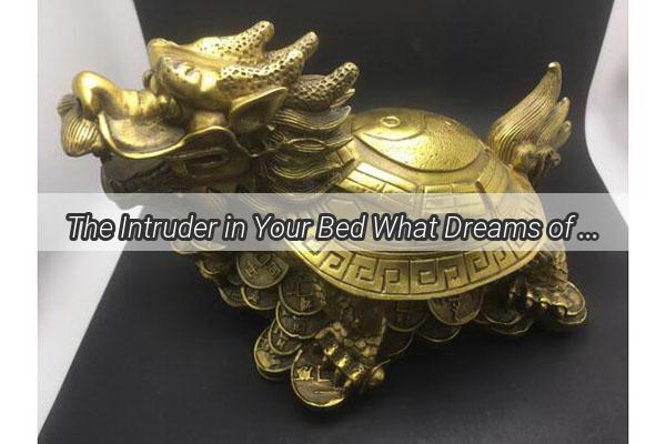 The Intruder in Your Bed What Dreams of a Mouse in the Blankets Reveal According to the Dream Interpreter Zhou Gong